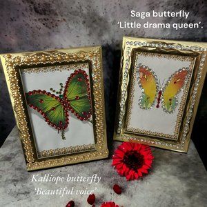 SCENT & GEMS, SAGA BUTTERFLY & KALLIOPE BUTTERFLY FRAMES.